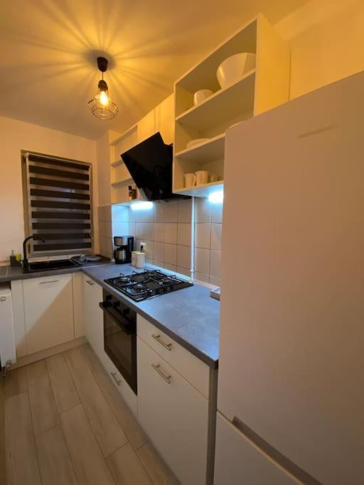 Black& White Apartment Брашов Екстер'єр фото